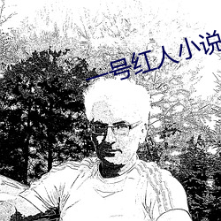 一号红人小说