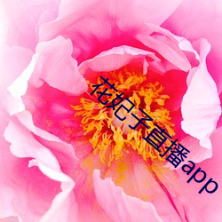 花(花)妃(妃)子直播app
