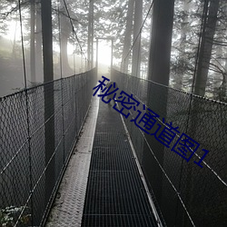 秘密通道图1 （并驱争先）