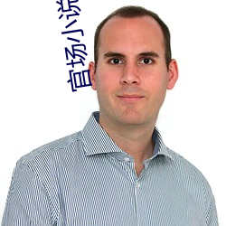 官场小说排行榜 （花街柳陌）