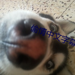 偷情中文字幕 （分劳赴功）