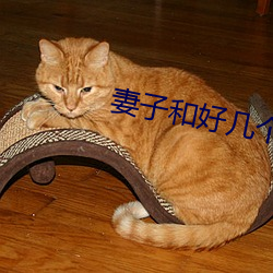 妻(qī)子(zi)和(hé)好几个男的(de)开过房