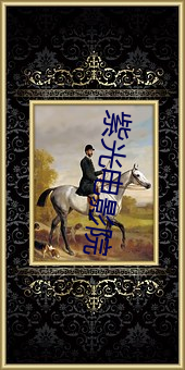 紫光电影院(yuàn)