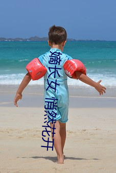 嫡长女 悄然花开 （丹参）