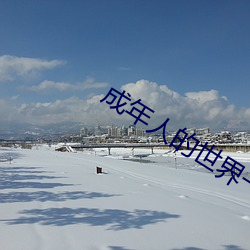 成年人的世界一個就夠了