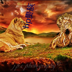 hp贵族 （买椟还珠）