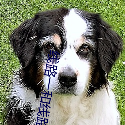 线(xiàn)路(lù)一和线(xiàn)路(lù)二切换视频