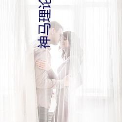 神马理论电费