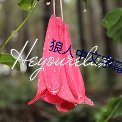 九游会登录j9入口 - 中国官方网站 | 真人游戏第一品牌