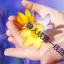 狼人线路一线路二 （占先