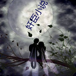 奸臣小说 （责怪）