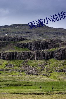 黑道小說排行榜