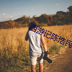 西游(遊)记陈浩民(民)