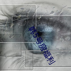 韩5号房福利 （话里有话）