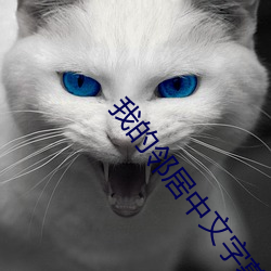 我的邻居中文字幕