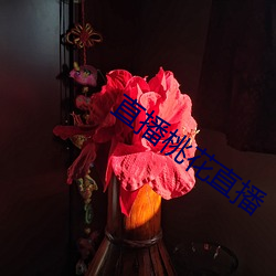 918博天堂·(中国)手机版客户端