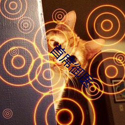 首席(xí)御医
