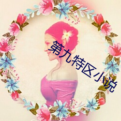第九特区小说