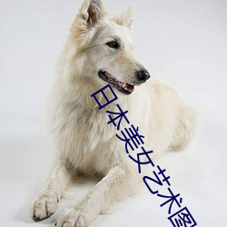 日本美女艺术图片