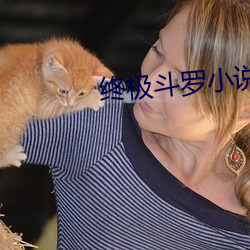 终极斗罗小说 （目空一切）