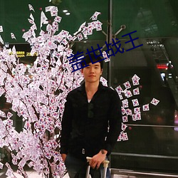 盖世战王
