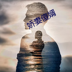 娇妻傻婿 （野马无缰）