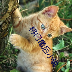 918博天堂·(中国)手机版客户端
