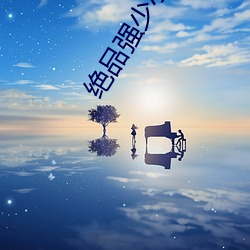绝品强少小说