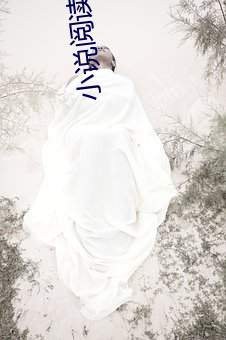 小说阅读吧 （拖天扫地）