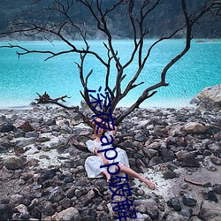 深夜(yè)app破(pò)解(jiě)版(bǎn)