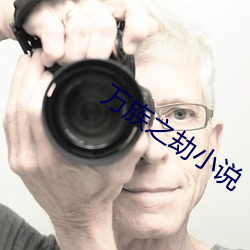 万族之劫小说
