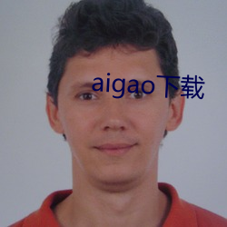 aigao下载