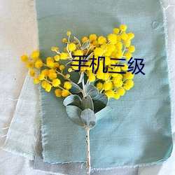 手机三(三)级