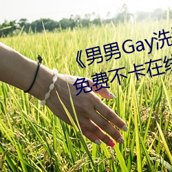 《男男Gay洗澡互吃鳮巴视频网》免费不卡在线观看