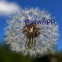 色(色)wwApp