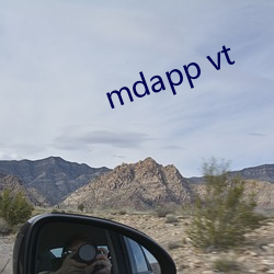 mdapp vt （强干弱枝）