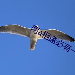 两a相逢必有(yǒu)一(yī)o