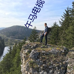 午(午)马电视