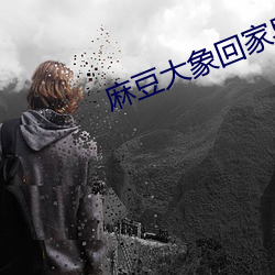 麻豆大象回家导航