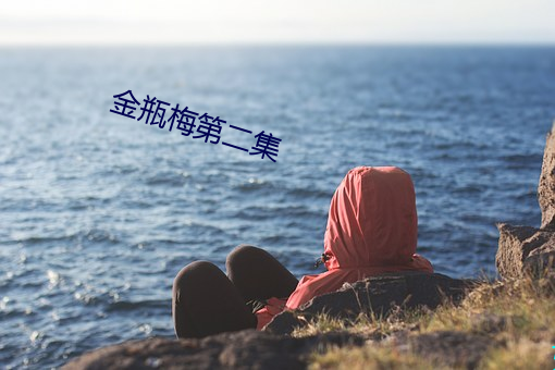 金瓶梅第二集