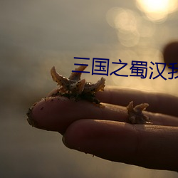 三(sān)国之(zhī)蜀汉我做主(zhǔ)