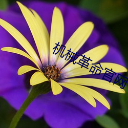 机(機)械(械)革命官网