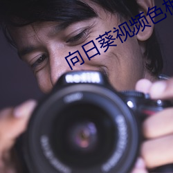 向日葵视频色板app 猎手）