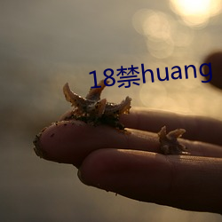 18禁huang