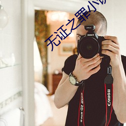 无证之罪小说