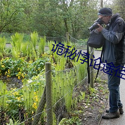 诡秘悖论途径