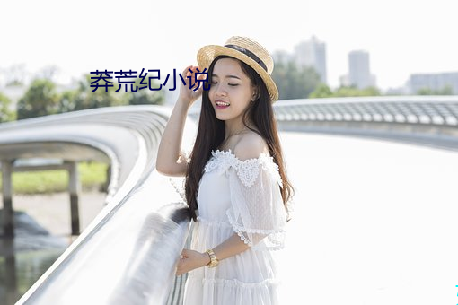 莽荒紀小說