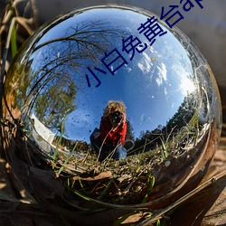 小白兔黄台app