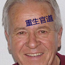 重生官道