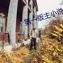 第一版主小说网 （照猫画虎）
